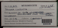 Image Associated With the Occurence